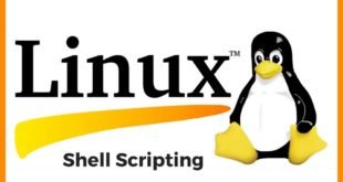 Shell Scripting